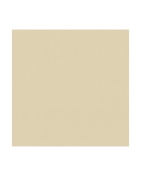 KRAVET BASICS 35916 1 by  Kravet 