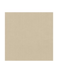 KRAVET BASICS 35916 1111 by  Kravet 