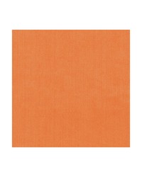 KRAVET BASICS 35916 12 by  Kravet 