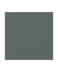 KRAVET BASICS 35916 21 by  Kravet 