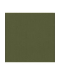 KRAVET BASICS 35916 3 by  Kravet 