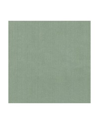 KRAVET BASICS 35916 313 by  Kravet 