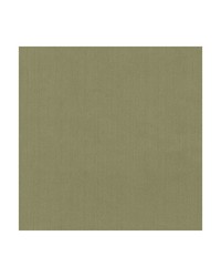 KRAVET BASICS 35916 323 by  Kravet 