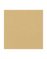 KRAVET BASICS 35916 44 by  Kravet 