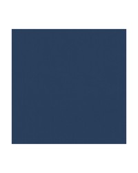 KRAVET BASICS 35916 50 by  Kravet 