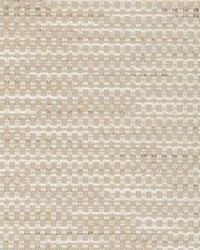 KRAVET BASICS 35992 16 by  Kravet 