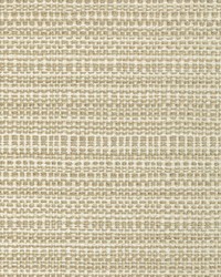 KRAVET BASICS 35993 16 by  Kravet 