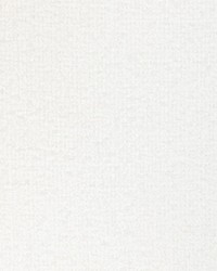 KRAVET BASICS 36017 101 by  Kravet 