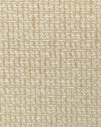 Party Dress 36100 416 Gold by  Kravet 