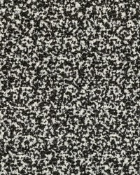 Flying High 36105 81 Ivory Noir by  Kravet 