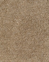 KRAVET SMART 36114 166 by  Kravet 