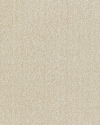 KRAVET DESIGN 36116 1116 by  Kravet 