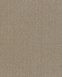 KRAVET DESIGN 36116 166 by  Kravet 