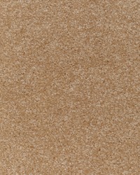 KRAVET DESIGN 36126 16 by  Kravet 