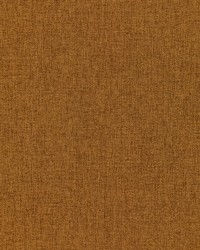 Fortify 36257 24 Cognac by   