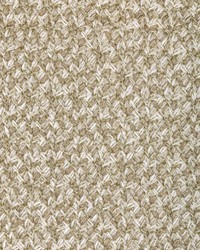 Gilded Lacing 36314 4 Burnished by  Kravet 