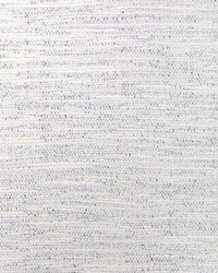 Heavy Metal 36328 11 Ivory Silver by  Kravet 