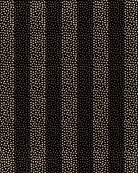Proximity 36341 8 Noir by  Kravet 