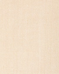 KRAVET BASICS 36343 106 by  Kravet 