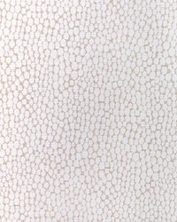 Starfall 36349 101 Ivory Silver by  Kravet 