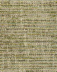 KRAVET DESIGN 36406 3 by  Kravet 