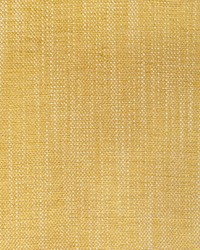 KRAVET DESIGN 36408 40 by  Kravet 