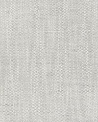 Evening Star 36537 1101 Steel by  Kravet 