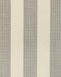 KRAVET BASICS 36542 1611 by  Kravet 