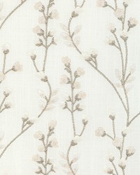 KRAVET BASICS 36560 106 by  Kravet 