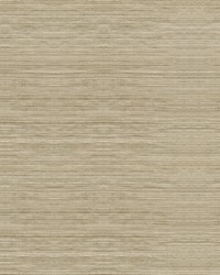 Light As Air 3657 1116 Shell by   