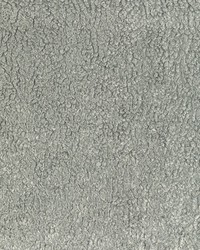 KRAVET SMART 36598 11 by  Kravet 