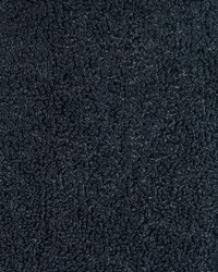 KRAVET SMART 36598 8 by  Kravet 