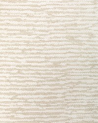 KRAVET COUTURE 36601 161 by  Kravet 