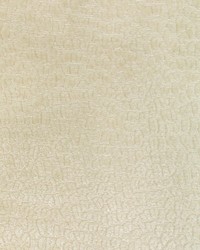 KRAVET SMART 36606 111 by  Kravet 