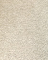 KRAVET SMART 36606 1111 by  Kravet 