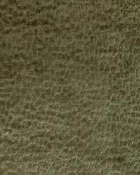 KRAVET SMART 36606 130 by  Kravet 