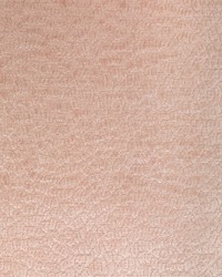 KRAVET SMART 36606 17 by  Kravet 