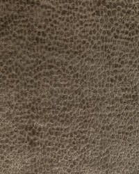 KRAVET SMART 36606 6 by  Kravet 