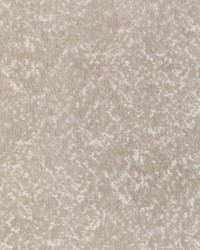 KRAVET SMART 36666 16 by  Kravet 