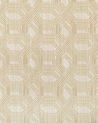 KRAVET DESIGN 36678 16 by  Kravet 