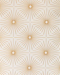 KRAVET DESIGN 36751 416 by  Kravet 