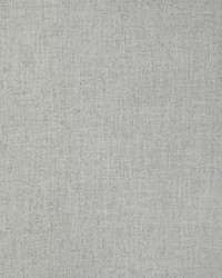 Twinkle Twinkle 36756 11 Silver by  Kravet 