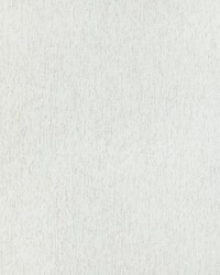 Twinkle Twinkle 36756 1101 Glitter by  Kravet 