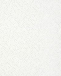 Tip The Scale 36783 1 Snow by   