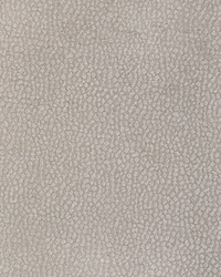 Pebble Chenille 36812 11 Putty by   