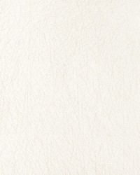 Pick Up Sticks 36813 1 Ivory by  Kravet 