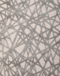 Line Dancing 36816 11 Dove by  Kravet 