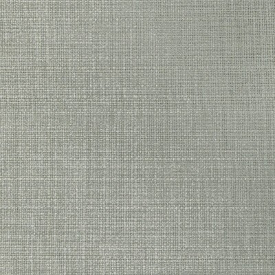 Kravet KRAVET BASICS 36821 11 INDOOR / OUTDOOR 36821.11 Grey Multipurpose DYED  Blend Fire Rated Fabric