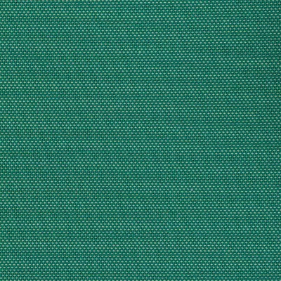 Kravet KRAVET BASICS 36843 303 INDOOR / OUTDOOR 36843.303 Green Multipurpose DYED  Blend Fire Rated Fabric