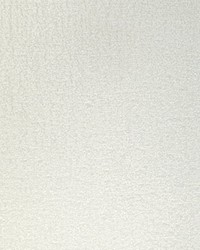 KRAVET SMART 36857 111 by  Kravet 